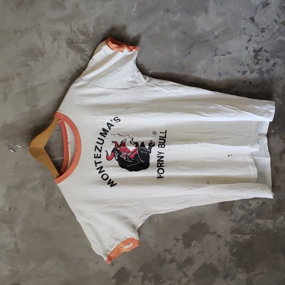 True vintage 1970's novelty tshirt